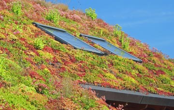 Holme St Cuthbert living roof systems
